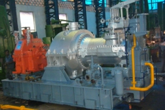 9 MW Bleed Condensing Steam Turbine for a Biomass Based Power Plant