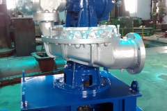 API-611 Vertical Steam Turbine